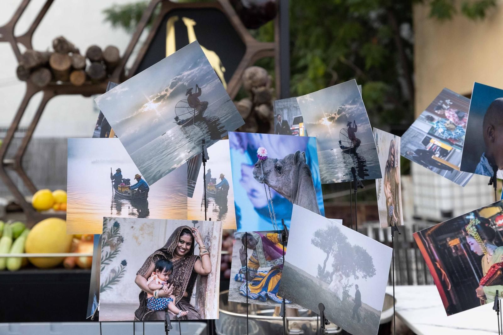 A cluster of printed photographs on stands at an outdoor event